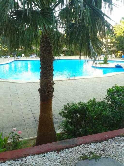 Piso Moderno Con Piscina Siesta 2 Apartment Port de Alcudia  ภายนอก รูปภาพ